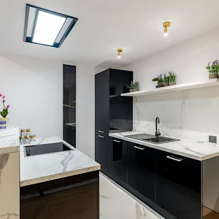 One Luxury Herastrau Parc Daire